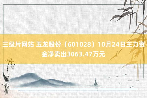 三级片网站 玉龙股份（601028）10月24日主力资金净卖出3063.47万元