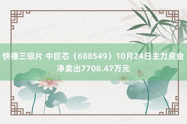 快播三级片 中巨芯（688549）10月24日主力资金净卖出7708.47万元