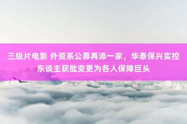 三级片电影 外资系公募再添一家，华泰保兴实控东谈主获批变更为各人保障巨头