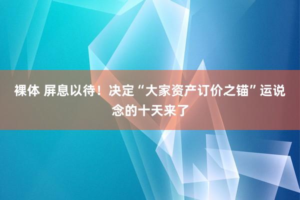 裸体 屏息以待！决定“大家资产订价之锚”运说念的十天来了