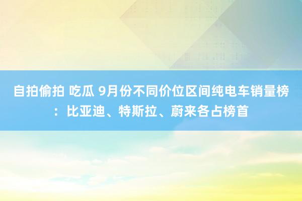 自拍偷拍 吃瓜 9月份不同价位区间纯电车销量榜：比亚迪、特斯拉、蔚来各占榜首