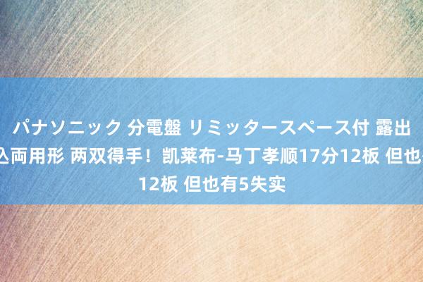 パナソニック 分電盤 リミッタースペース付 露出・半埋込両用形 两双得手！凯莱布-马丁孝顺17分12板 但也有5失实