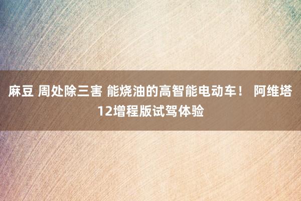 麻豆 周处除三害 能烧油的高智能电动车！ 阿维塔12增程版试驾体验