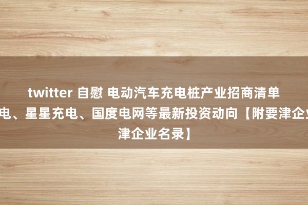 twitter 自慰 电动汽车充电桩产业招商清单：特回电、星星充电、国度电网等最新投资动向【附要津企业名录】