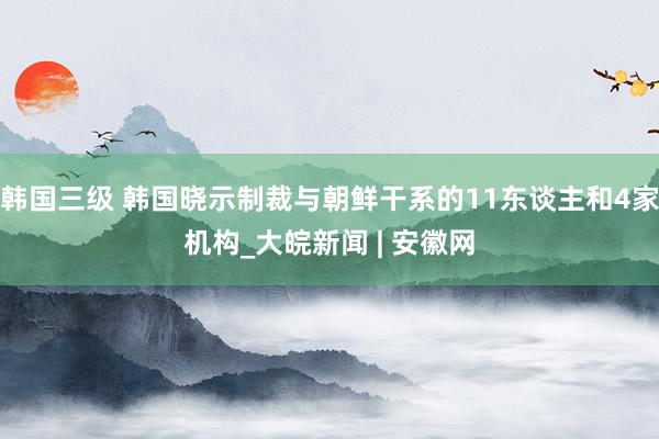 韩国三级 韩国晓示制裁与朝鲜干系的11东谈主和4家机构_大皖新闻 | 安徽网