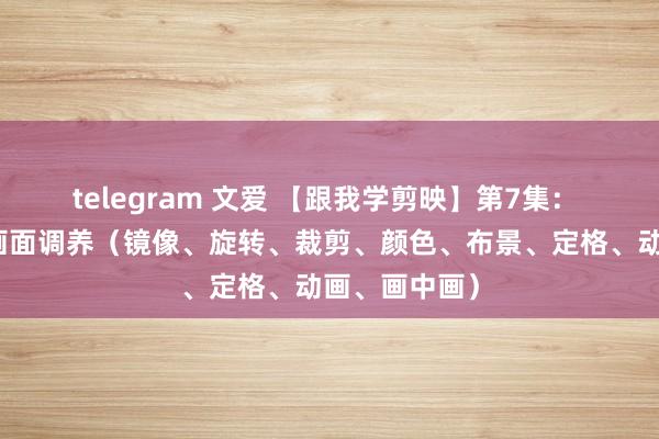 telegram 文爱 【跟我学剪映】第7集： 用剪映进行画面调养（镜像、旋转、裁剪、颜色、布景、定格、动画、画中画）