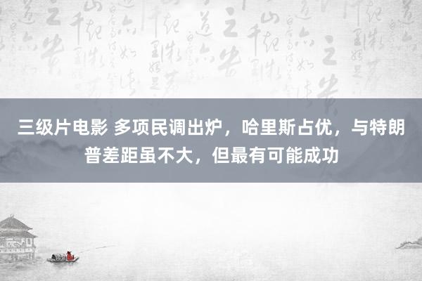 三级片电影 多项民调出炉，哈里斯占优，与特朗普差距虽不大，但最有可能成功