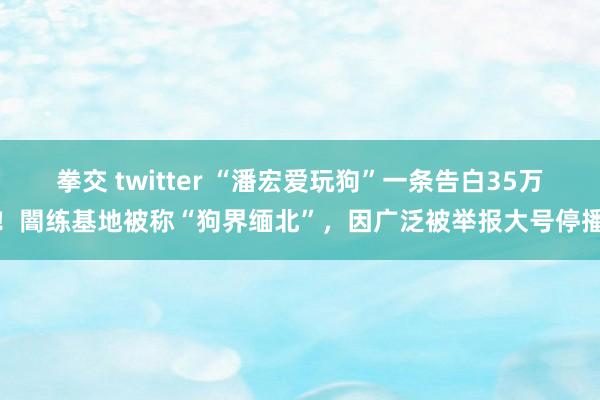 拳交 twitter “潘宏爱玩狗”一条告白35万！闇练基地被称“狗界缅北”，因广泛被举报大号停播