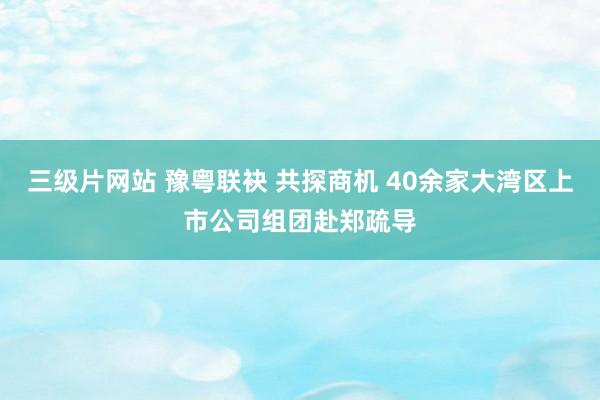 三级片网站 豫粤联袂 共探商机 40余家大湾区上市公司组团赴郑疏导