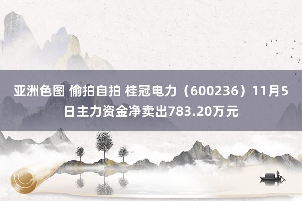 亚洲色图 偷拍自拍 桂冠电力（600236）11月5日主力资金净卖出783.20万元