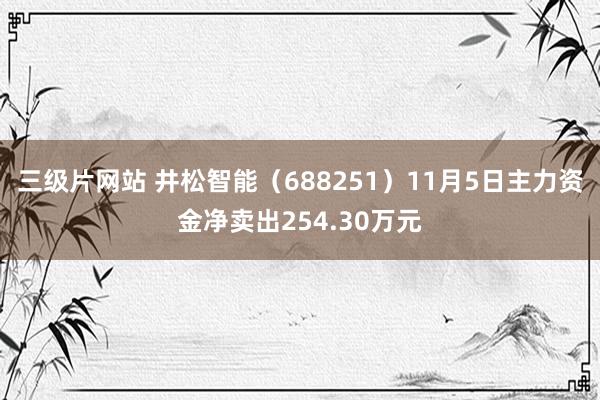 三级片网站 井松智能（688251）11月5日主力资金净卖出254.30万元