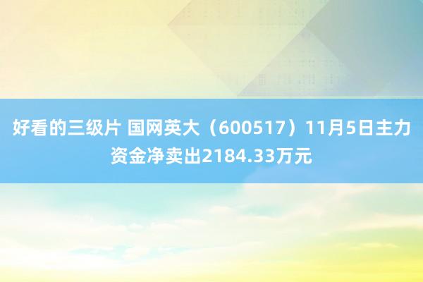 好看的三级片 国网英大（600517）11月5日主力资金净卖出2184.33万元