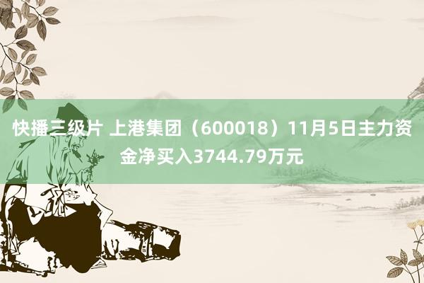 快播三级片 上港集团（600018）11月5日主力资金净买入3744.79万元