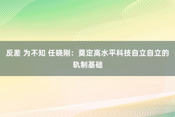 反差 为不知 任晓刚：奠定高水平科技自立自立的轨制基础