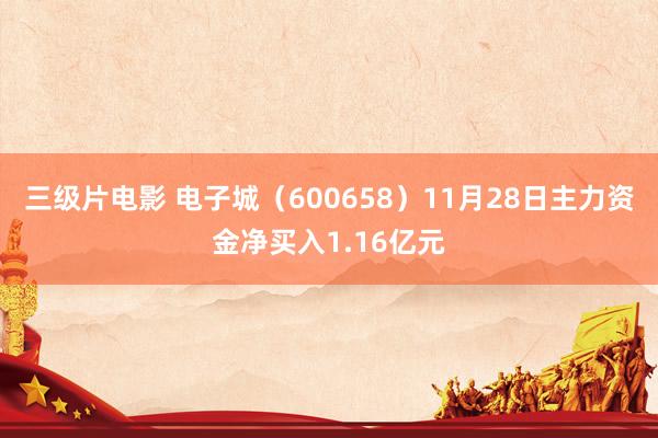 三级片电影 电子城（600658）11月28日主力资金净买入1.16亿元