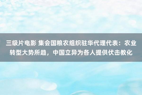 三级片电影 集会国粮农组织驻华代理代表：农业转型大势所趋，中国立异为各人提供伏击教化