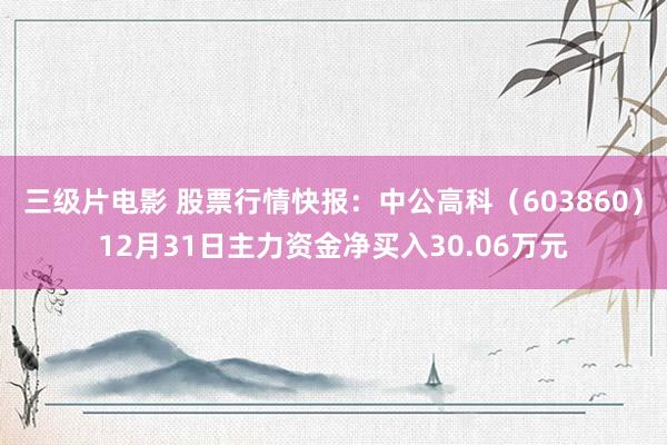 三级片电影 股票行情快报：中公高科（603860）12月31日主力资金净买入30.06万元