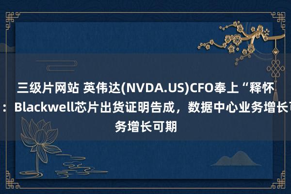 三级片网站 英伟达(NVDA.US)CFO奉上“释怀丸”：Blackwell芯片出货证明告成，数据中心业务增长可期