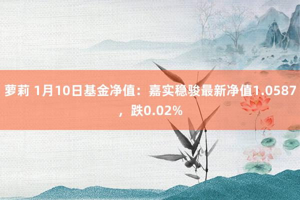 萝莉 1月10日基金净值：嘉实稳骏最新净值1.0587，跌0.02%