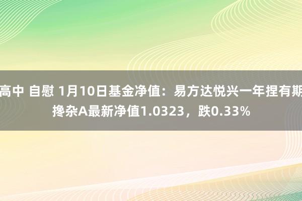 高中 自慰 1月10日基金净值：易方达悦兴一年捏有期搀杂A最新净值1.0323，跌0.33%