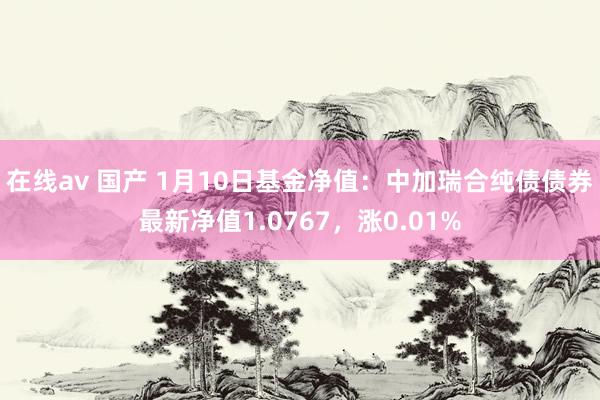 在线av 国产 1月10日基金净值：中加瑞合纯债债券最新净值1.0767，涨0.01%