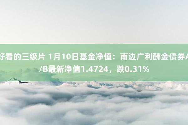 好看的三级片 1月10日基金净值：南边广利酬金债券A/B最新净值1.4724，跌0.31%