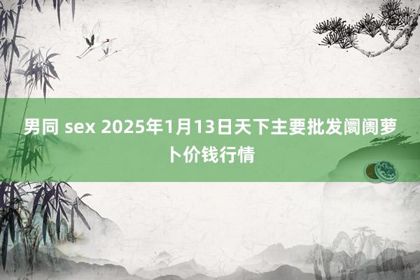 男同 sex 2025年1月13日天下主要批发阛阓萝卜价钱行情