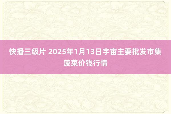 快播三级片 2025年1月13日宇宙主要批发市集菠菜价钱行情