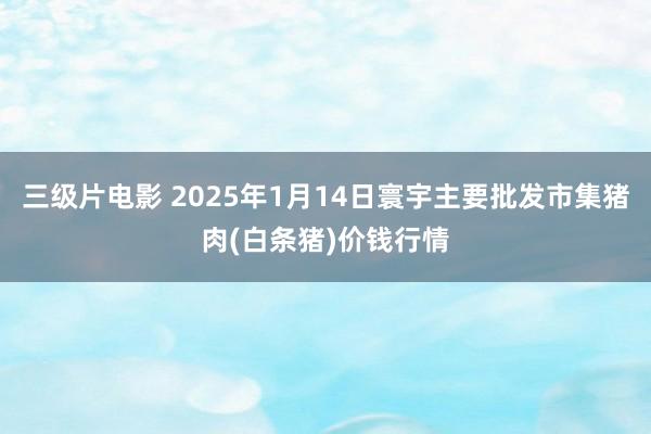 三级片电影 2025年1月14日寰宇主要批发市集猪肉(白条猪)价钱行情