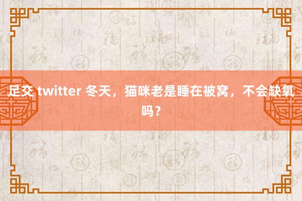 足交 twitter 冬天，猫咪老是睡在被窝，不会缺氧吗？