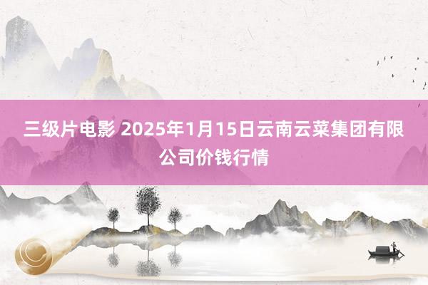 三级片电影 2025年1月15日云南云菜集团有限公司价钱行情