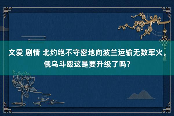 文爱 剧情 北约绝不守密地向波兰运输无数军火，俄乌斗殴这是要升级了吗？